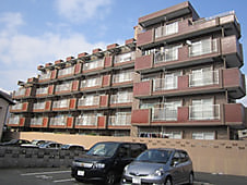 マンション